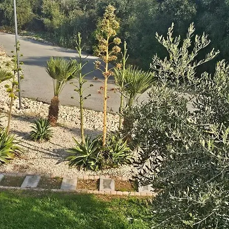 Beachfront Luxury Idania Villa Agia Napa
